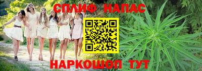 молекула духа Краснодар