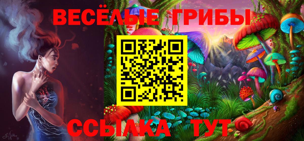 Галлюциногенные грибы GOLDEN TEACHER  Вход с VPN  Кирово-Чепецк 